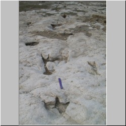 100_0427 (2009-26-07)cr.jpg